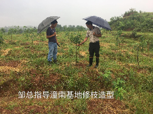 田间技术指导