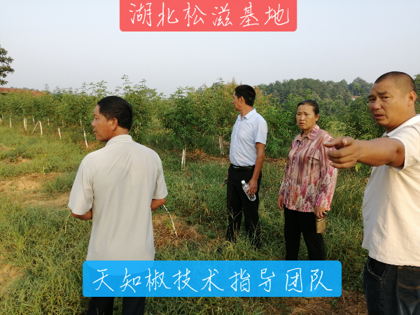 图片4.jpg 图片4.jpg