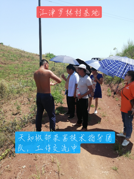 图片6.jpg 图片6.jpg