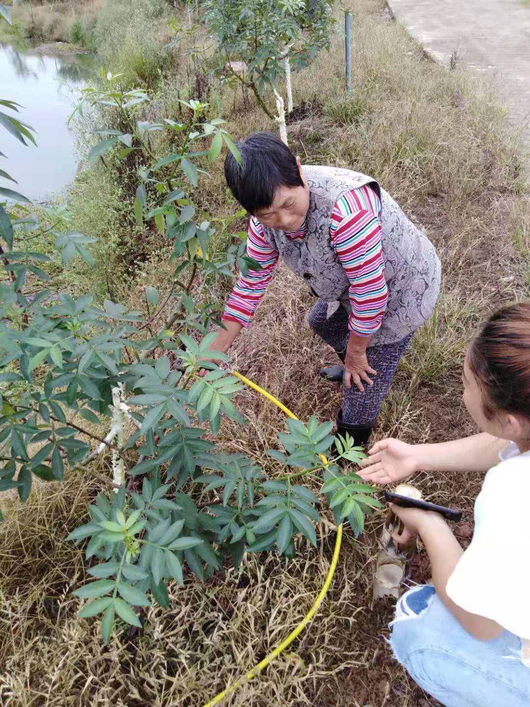 微信图片_201910101557071.jpg