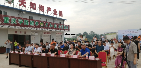会场.jpg 会场.jpg